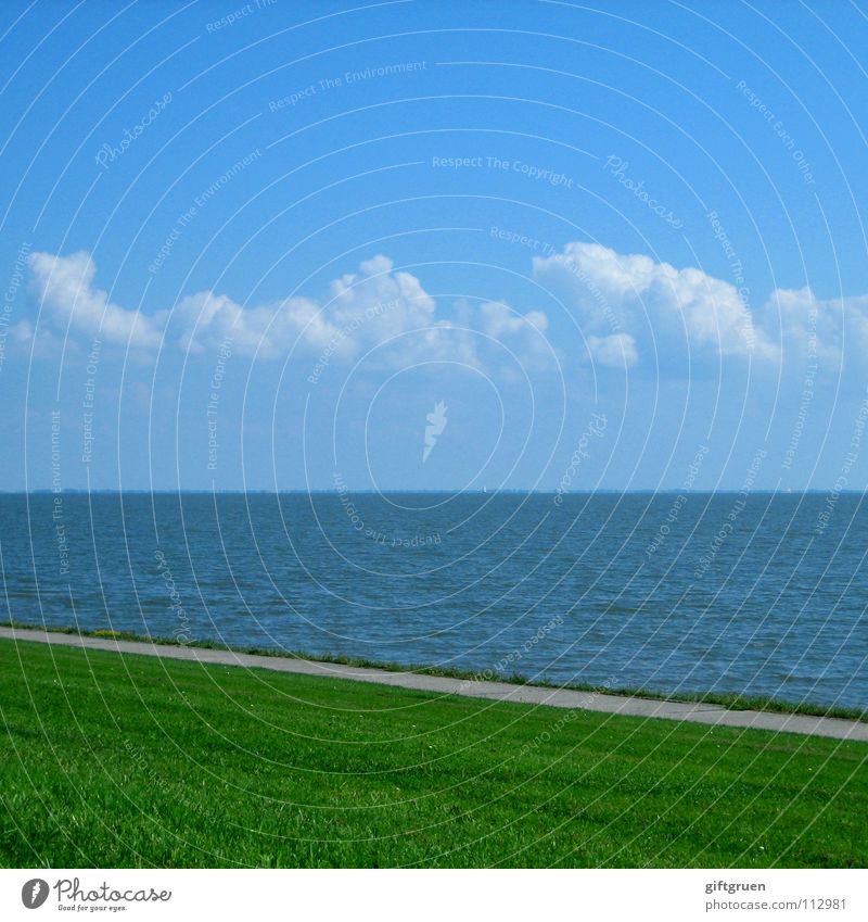 norddeutsche streifenvariation Wolken Meer Strand Küste Wiese Gras grün gestreift Streifen Horizont Sommer minimalistisch Himmel Nordsee Niedersachsen blau