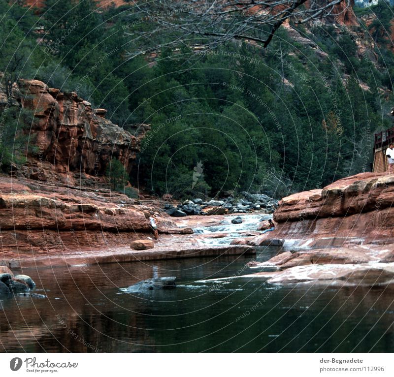 Naturbad Grand Canyon Schlucht Sedona Arizona Amerika Südwest Freibad Konifere Freizeit & Hobby Bach Strömung Tanne Fichte Stromschnellen rot Sandstein Baum