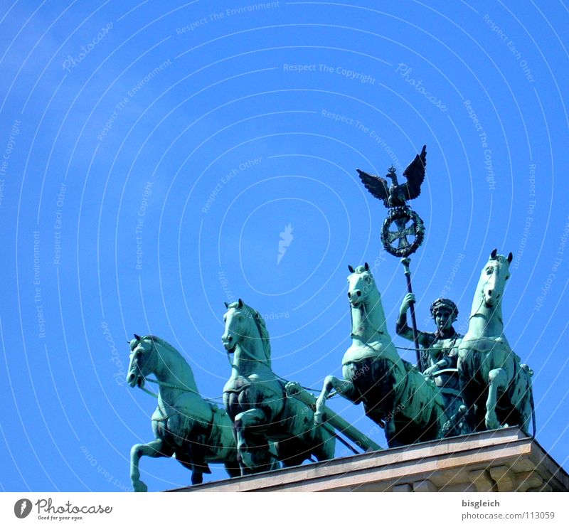 Quadriga Brandenburger Tor Pferd Außenaufnahme Kunst historisch Himmel Berlin Wahrzeichen Denkmal Streitwagen blau Ferne Freiheit Sehenswürdigkeit