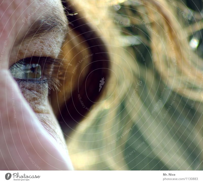 blickfang Haut feminin Frau Erwachsene Gesicht Auge Haare & Frisuren Locken beobachten authentisch außergewöhnlich einzigartig Augenbraue Sommersprossen