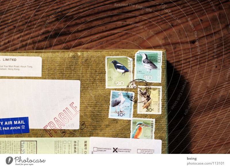 Der Seeadler hats gebracht Geschenk Paket Güterverkehr & Logistik Brief Briefmarke Vogel Luftpost Schachtel Packpapier Eichelhäher Post Absender Adressat