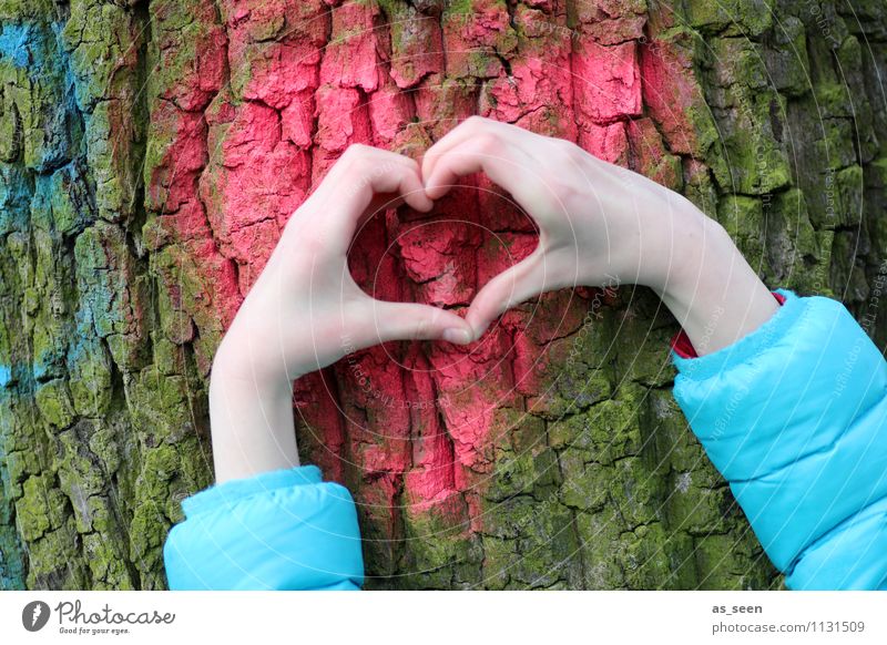 Mein Freund, der Baum Hand Finger 1 Mensch 8-13 Jahre Kind Kindheit Umwelt Natur Pflanze Baumrinde Baumstamm Jacke Herz authentisch außergewöhnlich blau braun