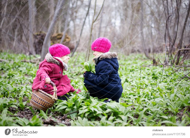heut gibt's Bärlauchsüppchen feminin Kind Mädchen Geschwister Schwester Kindheit 2 Mensch 3-8 Jahre Umwelt Natur Pflanze Frühling Wildpflanze Wald entdecken