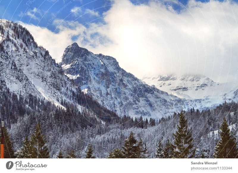 Winter in Kärnten Ferien & Urlaub & Reisen Tourismus Schnee Winterurlaub Berge u. Gebirge Klettern Bergsteigen Umwelt Natur Landschaft Pflanze Tier Urelemente