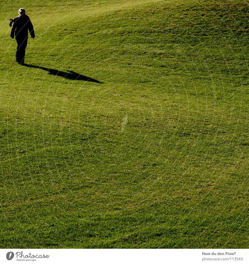 Madame Wiese Gras grün Frau Hügel Traumwelt Traumland Golfplatz Feindschaft verfolgen Winter Dezember saftig schön kalt Schal Gesundheit Rasen graß Schatten