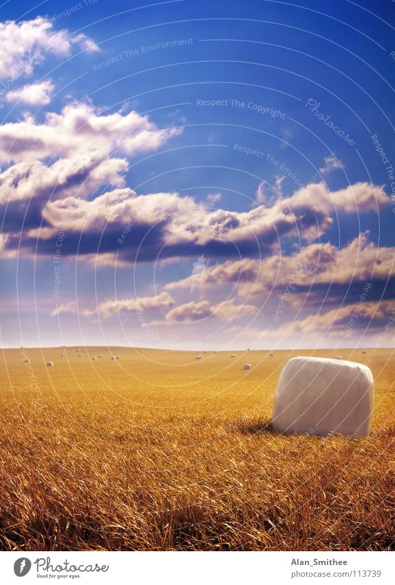 Golden Harvest Himmel harvest crop wheat grain bale hay sky gold clouds field