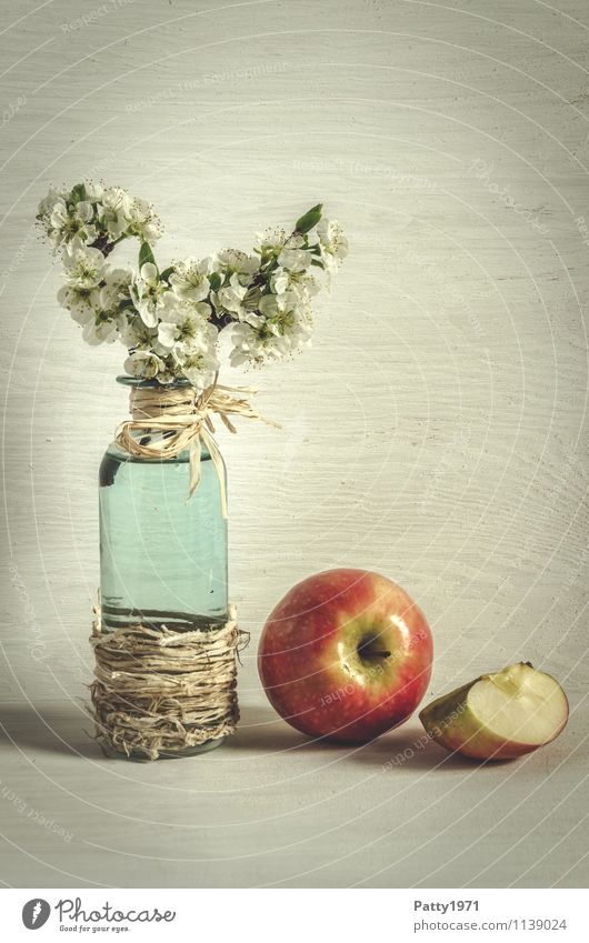 Blütenzweig mit Apfel Frucht Dekoration & Verzierung Stillleben Pflanze Zweig Apfelblüte Glasflasche Vase Blühend Duft retro ästhetisch Nostalgie ruhig