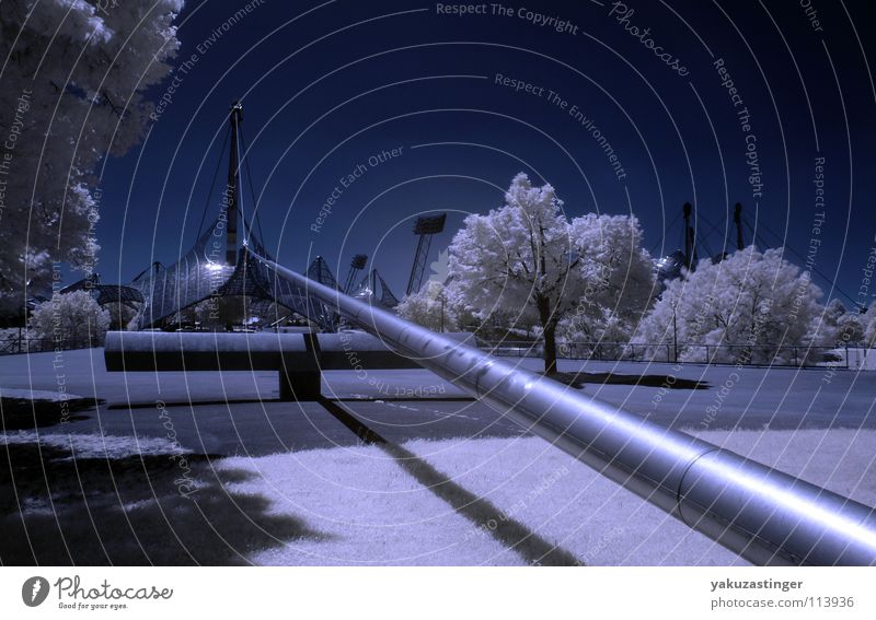 Moonlight Mile Infrarotaufnahme Farbinfrarot weiß Baum Wiese München Langzeitbelichtung blau Rasen Himmel Woodeffect Architektur