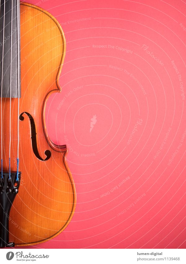 Geige Musik Konzert alt streichen gelb Bratsche Hintergrundbild instrument Klassik musizieren oper Saite Schramme Streichinstrumente Textfreiraum