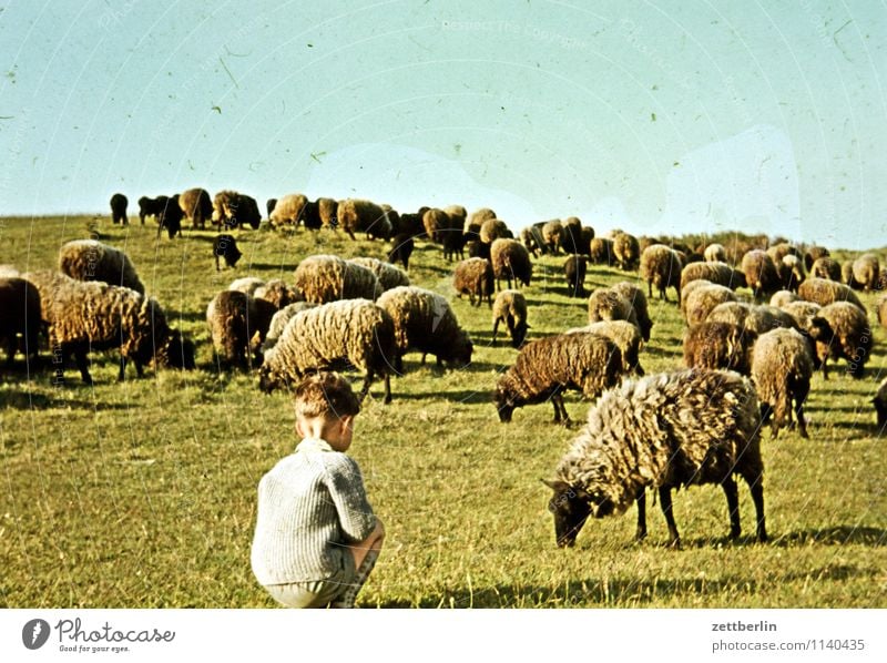 Dornbusch, 1966 Kind Junge Ferien & Urlaub & Reisen Reisefotografie Landschaft Hügel Horizont Himmel früher Kindheit Kindheitserinnerung Jugendliche