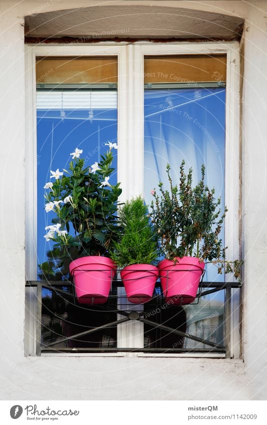 French Windows I Kunst ästhetisch Autofenster Flugzeugfenster Fensterladen Fensterscheibe Fensterbrett Fensterblick Fensterrahmen Blumentopf Farbfoto mehrfarbig