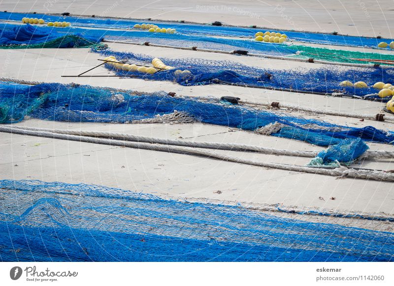 Fischernetze Hafen Netz blau anstrengen ästhetisch Zufriedenheit Netzwerk Fischereiwirtschaft Spanien Vernetzung fischen verstrickt verfangen Farbfoto