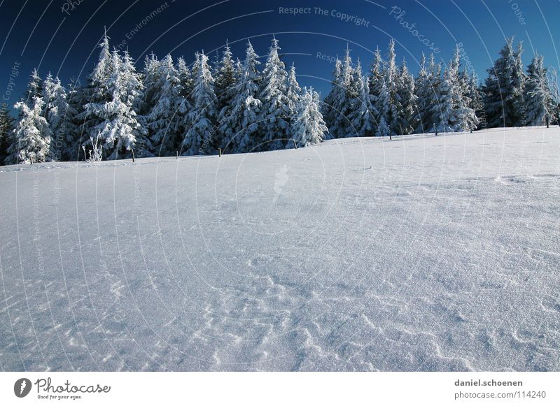 Weihnachtskarte 20 Winter Schwarzwald weiß Tanne Nadelwald Wald Tiefschnee wandern Freizeit & Hobby Ferien & Urlaub & Reisen Verhext mystisch abstrakt