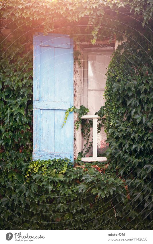 French Windows III Kunst ästhetisch altmodisch bewachsen Fassade blau Fensterladen Fensterscheibe Fensterbrett Fensterblick Fensterkreuz Fensterrahmen
