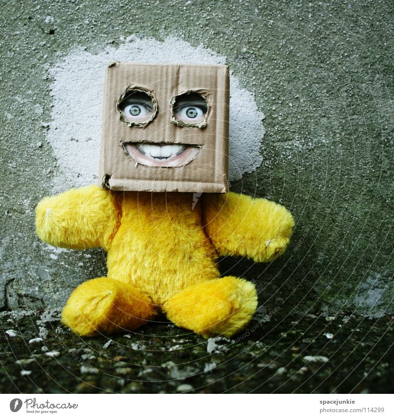 Zurück zum Beton Karton skurril Humor Freak Quadrat Handpuppe Spielzeug Teddybär Wand Freude Gesicht Maske Versteck verstecken Quadratschädel Puppe