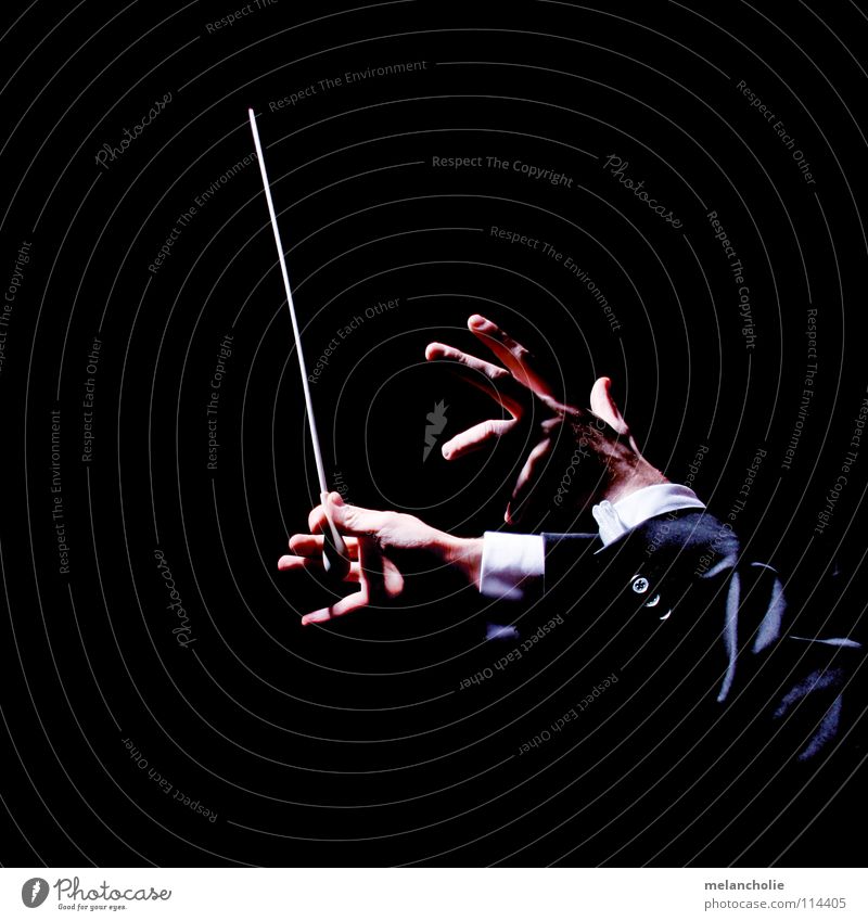 Dirigent III Takt Finger Hand Schattenspiel Konzert Orchester Publikum Gast Eröffnung Geiger Staatsoper Berlin harmonisch Gefühle üben talentiert komponieren