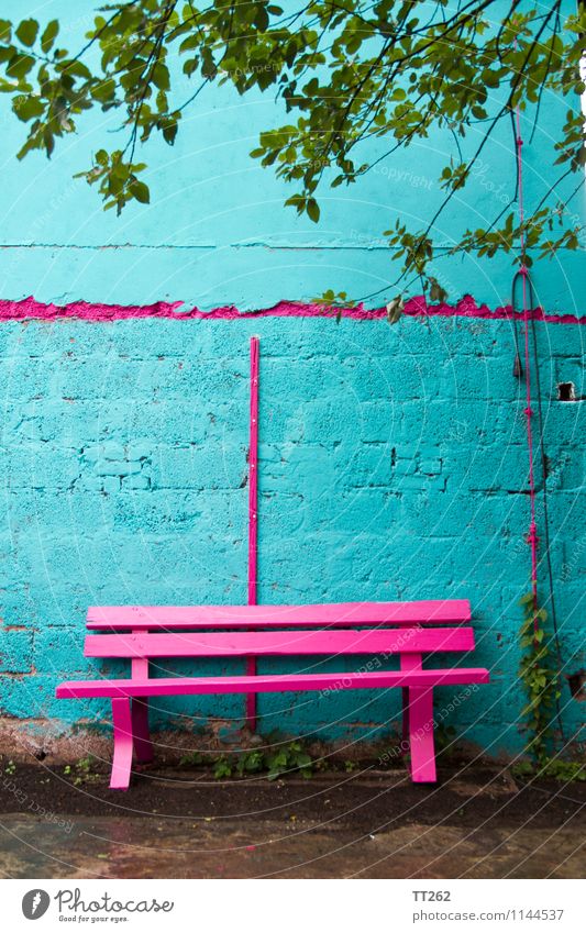 Banküberfall Mauer Wand Garten sitzen blau mehrfarbig grün rosa grell magenta zyan Farbfoto Außenaufnahme Textfreiraum oben Tag Licht Schwache Tiefenschärfe