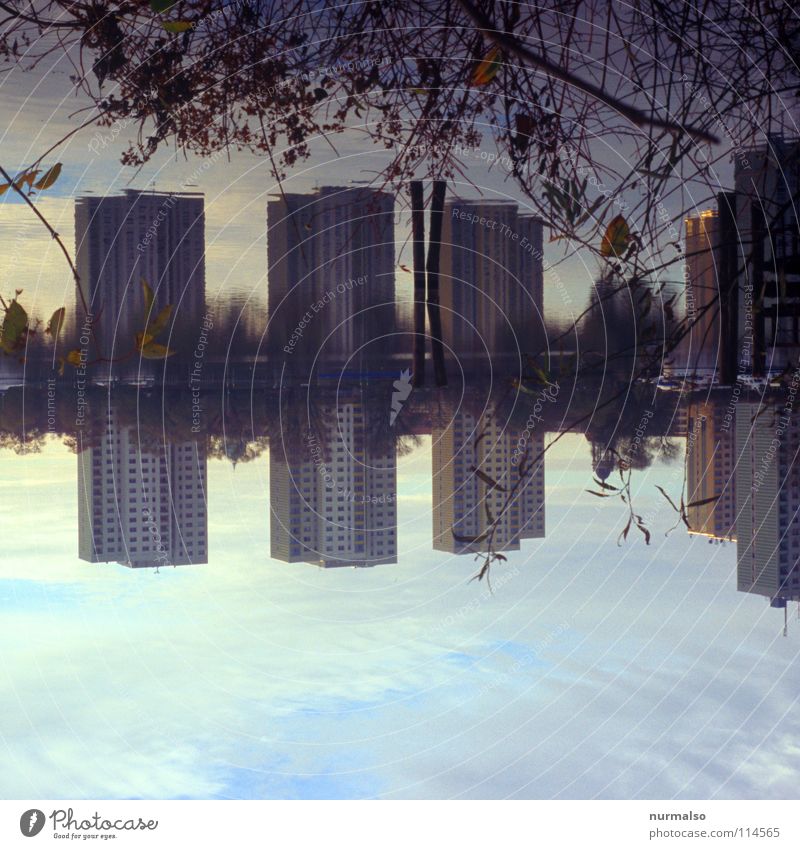 Doppeltes Lottchen Reflexion & Spiegelung Haus Hochhaus Beton Neubau Plattenbau Balkon Bad Sträucher Morgen aufstehen Arbeit & Erwerbstätigkeit Herbst Ghetto