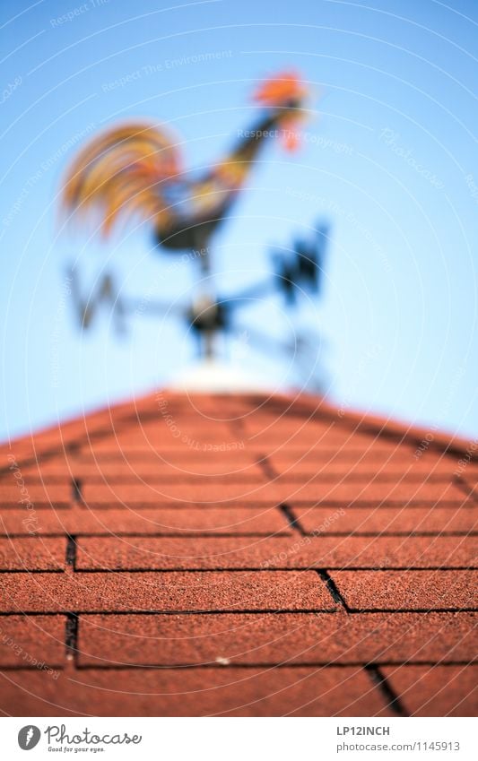 Richtung stimmt. Häusliches Leben Haus Garten Dach Zeichen Schriftzeichen mehrfarbig rot Genauigkeit Himmelsrichtung Hahn Richtungswechsel richtungweisend