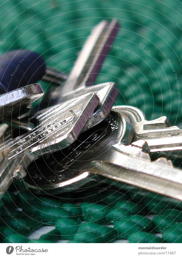 Schlüssel grün schließen Häusliches Leben Kreis Metall Burg oder Schloss