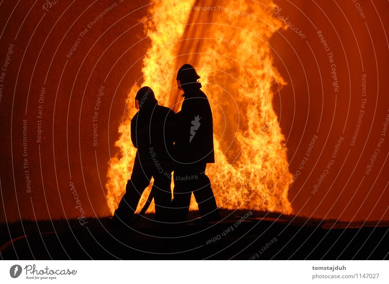 Feuerwehrmänner bei der Arbeit Beruf Mann Erwachsene heiß hoch Sicherheit Feuerwehrmann Flamme Brand Brandwunde groß riesig Gefahr Risiko tödlich behüten Dienst