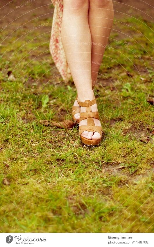 pZ2 schicke Schuhe feminin Junge Frau Jugendliche Erwachsene Beine 18-30 Jahre laufen stehen schön elegant Farbe Leichtigkeit Mode Sommer sommerlich Sandale