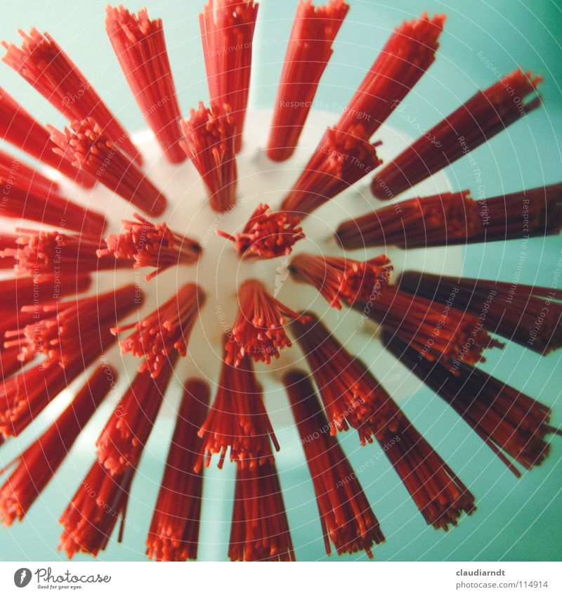 Borstentier rot Igel Küche Reinigen Geschirrspülen wehrhaft wehren Vogelperspektive abstrakt Explosion Bürste Stachel Spülbürste Defensive Küchenarbeit