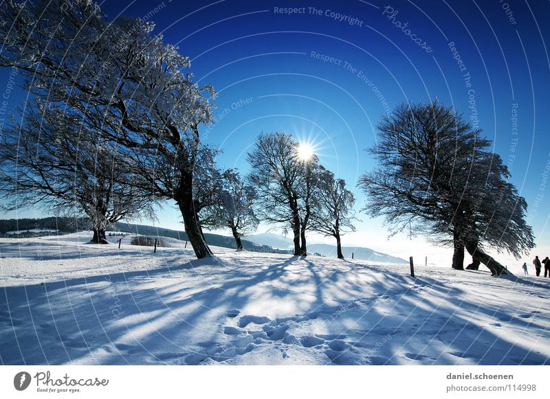 Weihnachtskarte 24 Sonnenstrahlen Winter Schwarzwald weiß Tiefschnee wandern Freizeit & Hobby Ferien & Urlaub & Reisen Hintergrundbild Baum Schneelandschaft