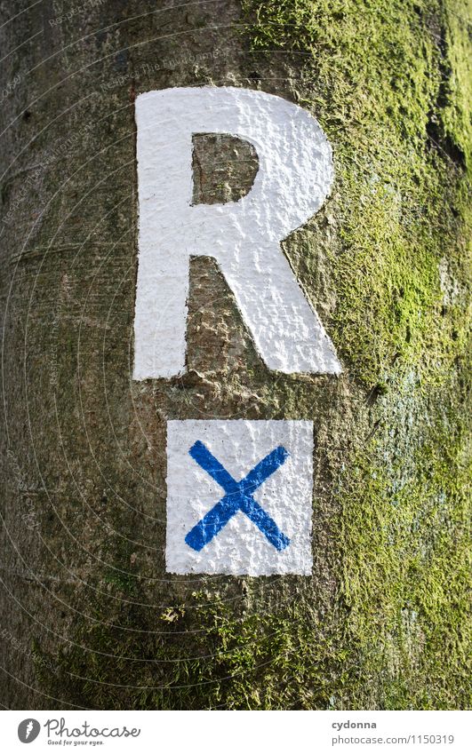 Rennsteig Leben Ferien & Urlaub & Reisen Tourismus Ausflug wandern Umwelt Natur Baum Zeichen Schriftzeichen Schilder & Markierungen entdecken Erwartung