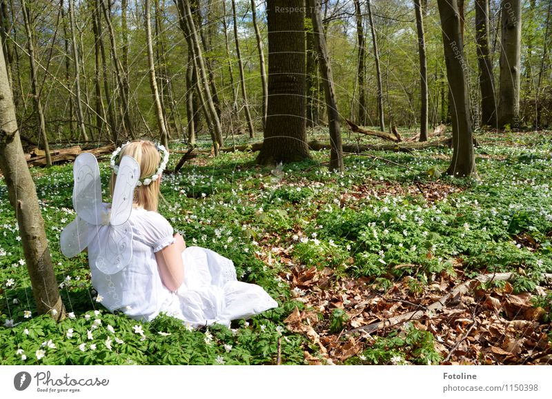 Waldelfe Mensch feminin Kind Mädchen Kindheit Körper Kopf Haare & Frisuren 1 Umwelt Natur Pflanze Frühling Schönes Wetter Baum Blume blond frei hell natürlich