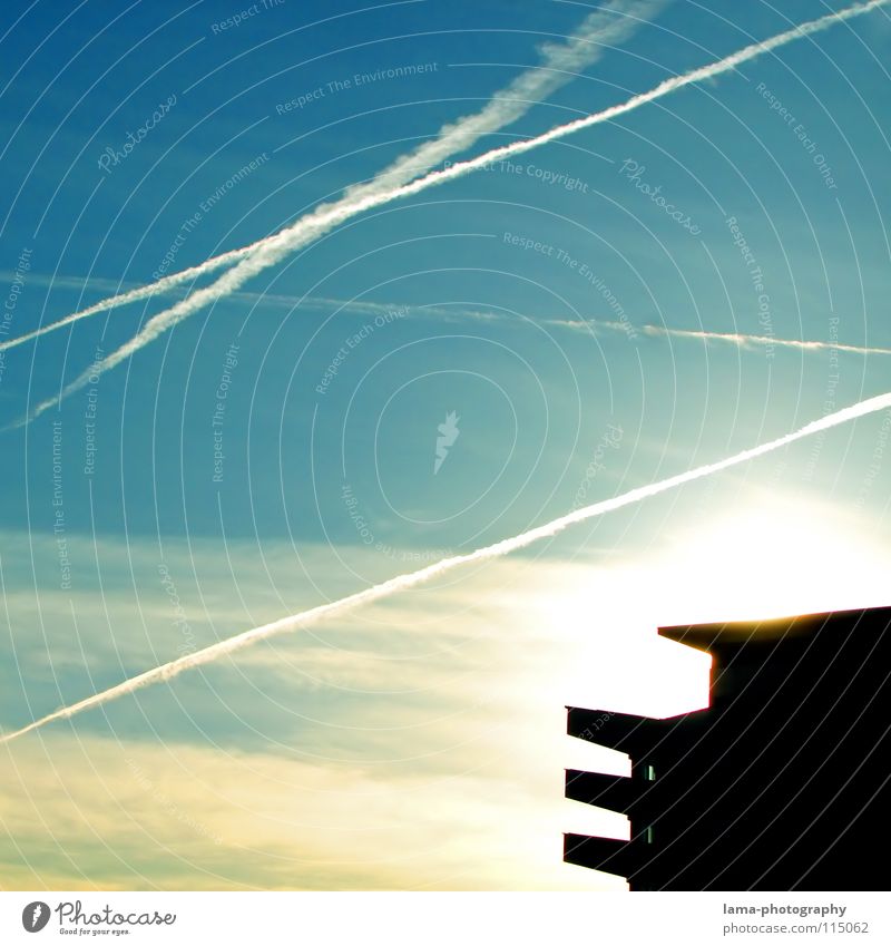 Quelle des Lichts Sonnenlicht Gegenlicht Sonnenstrahlen Kondensstreifen Flugzeug Streifen Wolken Abgas Ozon Ozonschicht Ozonloch Luftverschmutzung Umwelt