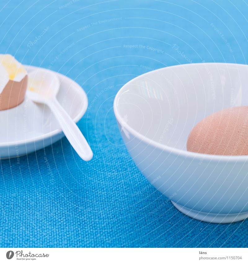 das gelbe vom Ei Lebensmittel Ernährung Frühstück Geschirr Schalen & Schüsseln Sommer Häusliches Leben Garten Tisch einfach Freundlichkeit Zusammensein blau