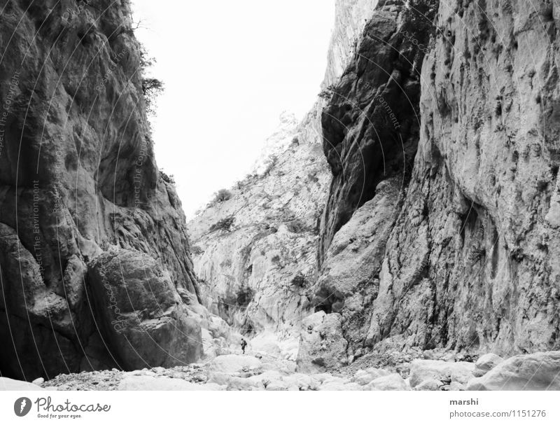 canyon gorroppu Natur Landschaft Pflanze Himmel Frühling Sommer Berge u. Gebirge Schlucht Stimmung wandern Stein tief Höhe Sardinien Reisefotografie