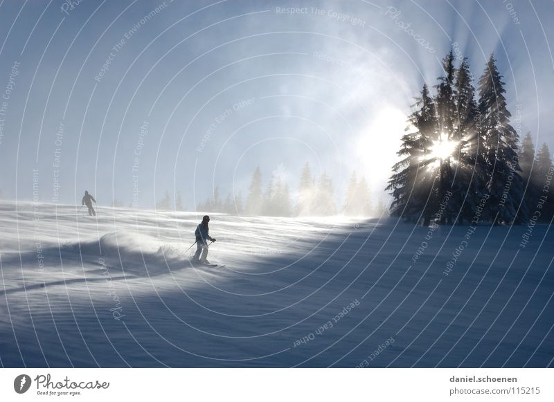 gefühlte -20 Grad Sonnenstrahlen Winter Skifahren Schwarzwald weiß Tiefschnee Wintersport Freizeit & Hobby Ferien & Urlaub & Reisen Hintergrundbild Baum