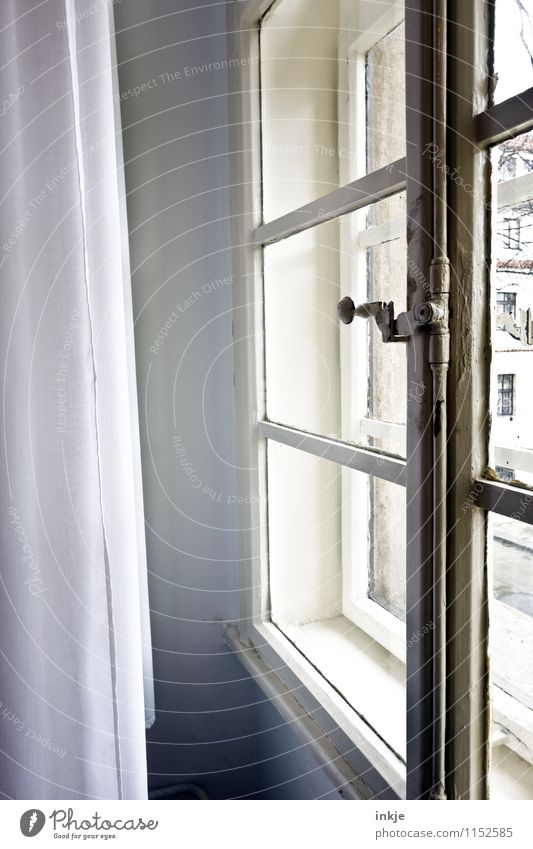 das Fenster zum Prager Hof Häusliches Leben Wohnung Raum Menschenleer Holzfenster Fensterscheibe Fensterkreuz Fensterbrett Fensterblick Fenstersims