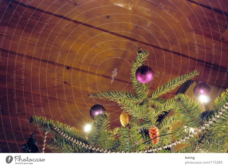 Last Christmas Hochmut geschmückt stachelig Weihnachten & Advent Weihnachtsmarkt Weihnachtsbaum Fichte Baumschmuck Christbaumkugel Zapfen Glocke Berghütte