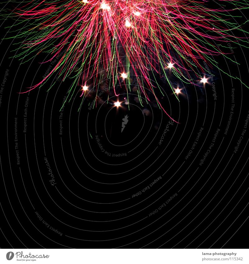 Himmelsblume Feuerwerk Wunderkerze Silvester u. Neujahr Explosion Licht glänzend glühen Party Nacht mehrfarbig faszinierend Spektakel explodieren Jubiläum