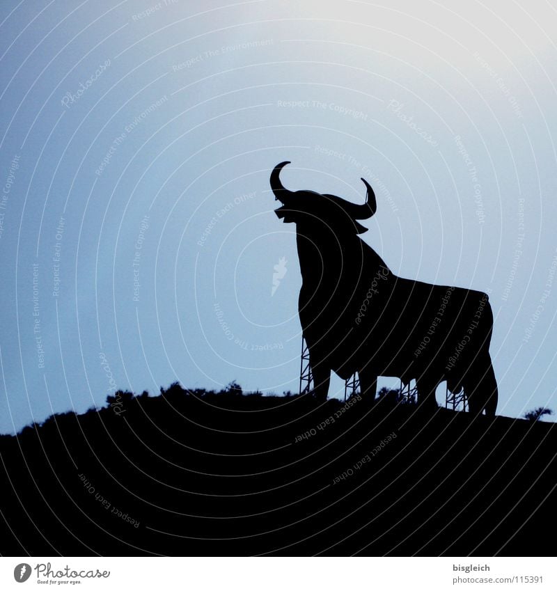 El Toro (Spanien) Tier Himmel Nutztier 1 Schilder & Markierungen stark blau Kraft Werbung Andalusien Bulle Stierkampf Sherry Brandy Silouette Farbfoto