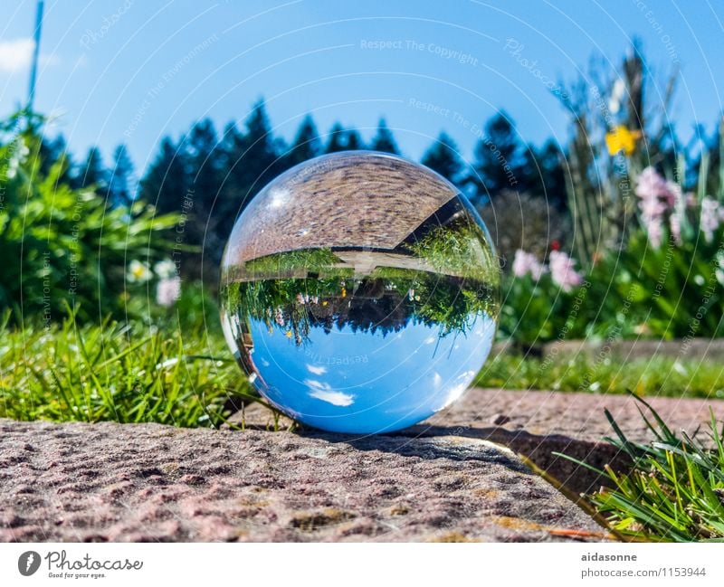 Glaskugel im Frühling ein lizenzfreies Stock Foto von