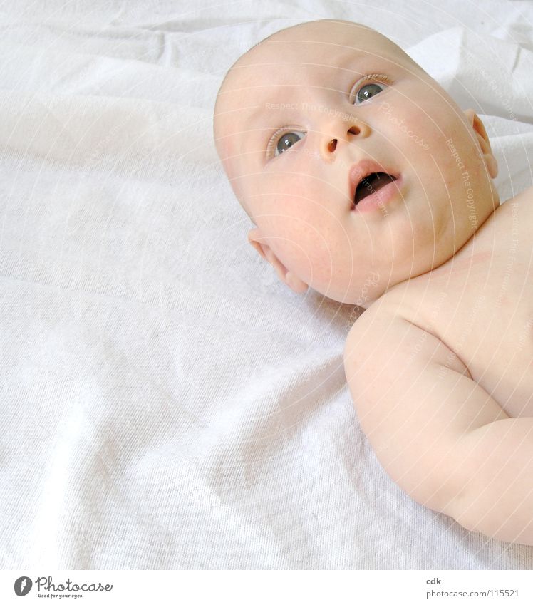 Babyjahre | das große Staunen. Kind Kleinkind klein Junge Blick fixieren unaufmerksam Wachsamkeit wahrnehmen faszinierend erstaunt nackt Körperfett rund