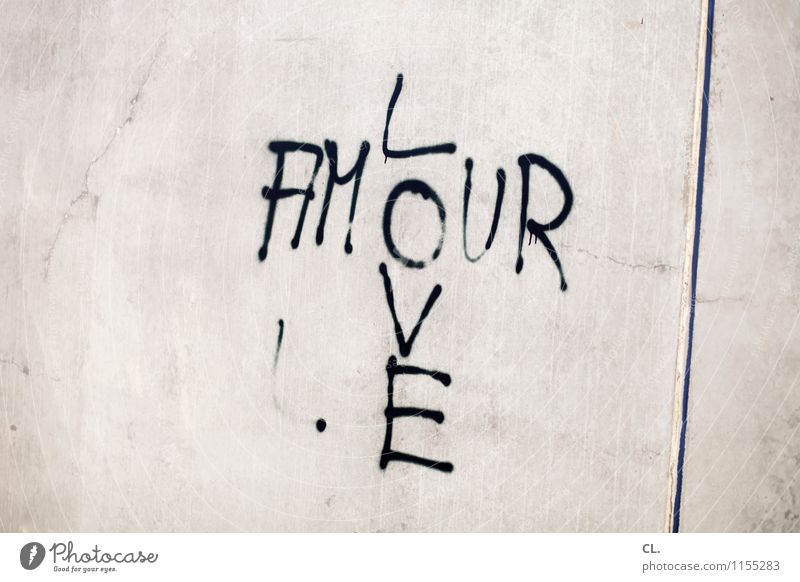 transatlantische beziehungen Mauer Wand Schriftzeichen Graffiti Lebensfreude Frühlingsgefühle Zusammensein Liebe Verliebtheit Partnerschaft Englisch Französisch