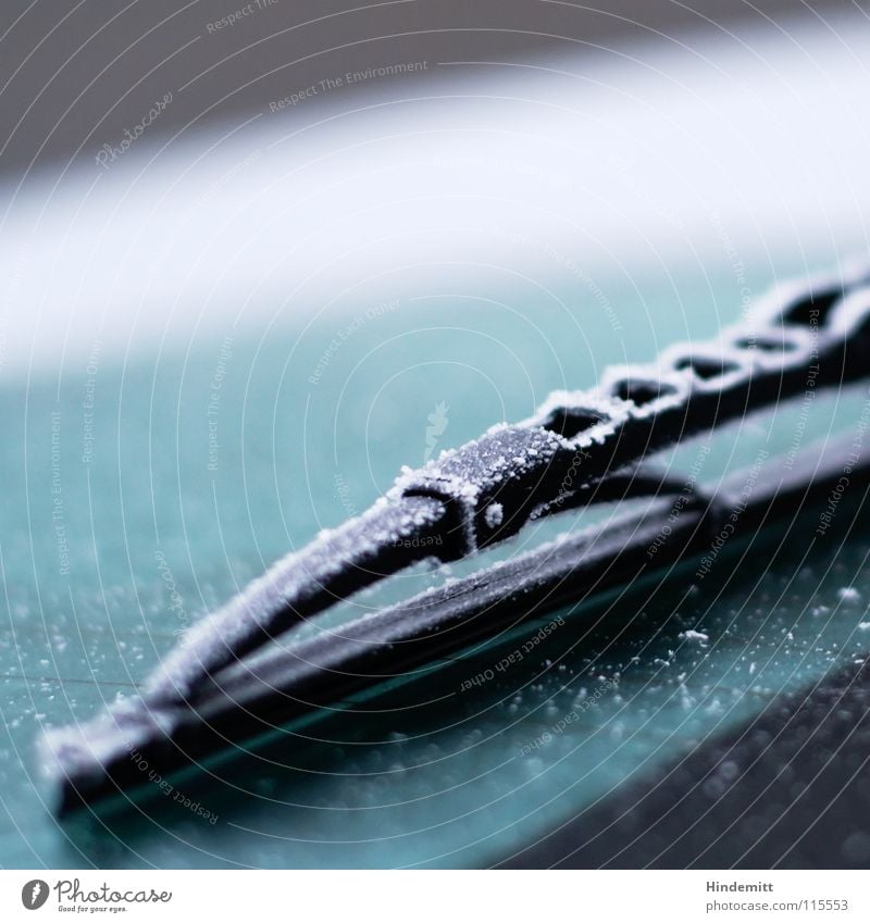 Heckscheibenwasserentsorgungsfachkraft [an einem Not-My-Job-Day] Scheibenwischer Windschutzscheibe Fahrzeug Heckklappe schwarz weiß grün kalt Eiskristall
