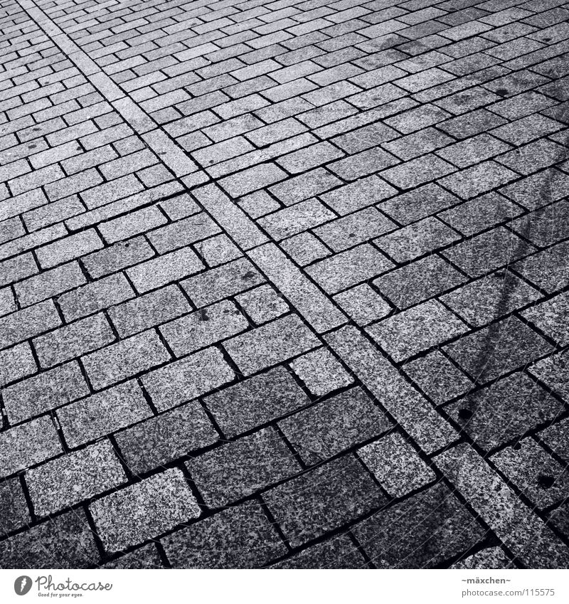 Pflasterstein schwarz weiß diagonal Quadrat Rechteck Verlauf zweiteilig fahren gehen Schwarzweißfoto Verkehr Verkehrswege Kopfsteinpflaster Stein black white
