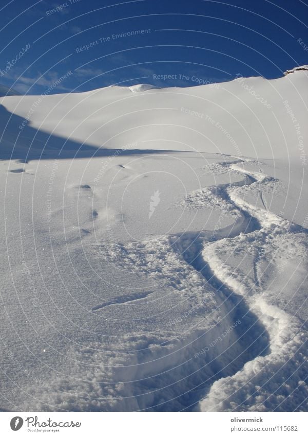 what a day Tiefschnee Schneespur Schneekristall Wechte Bergkamm Skitour Winter Blauer Himmel Pulverschnee Kurve Wellenform Menschenleer Außenaufnahme