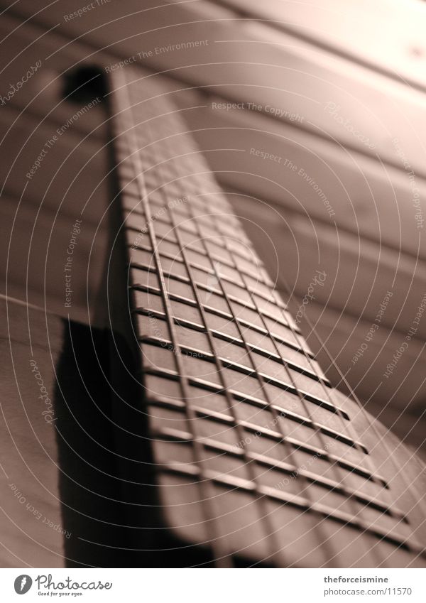 Sepia Gitarre Saite Musikinstrument Dinge