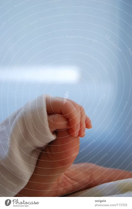 Geborgenheit Baby Kind Hand Finger Daumen Vertrauen Kleinkind Glück blau