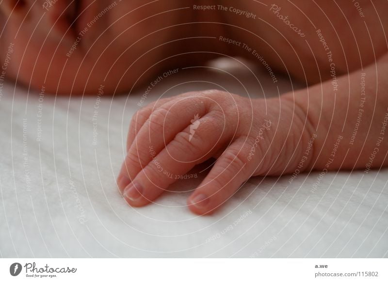 Händchenklein Hand Baby Kind Kleinkind Finger schlafen Erholung liegen Fingerchen Arme fangen Wickelkommode Babymassage wickeln