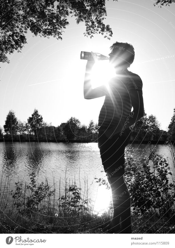 Wasser macht durstig Baum Getränk schwarz weiß Silhouette Licht kalt heiß Sommer trinken Erfrischung Sehnsucht Physik Porträt Außenaufnahme Sonne Fluss Küste
