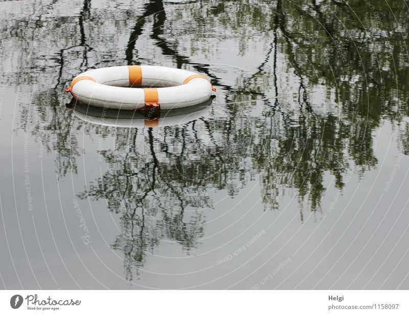 Rettung... Umwelt Natur Wasser Baum Teich Rettungsring Kunststoff liegen Schwimmen & Baden außergewöhnlich rund grau orange schwarz weiß ruhig bedrohlich