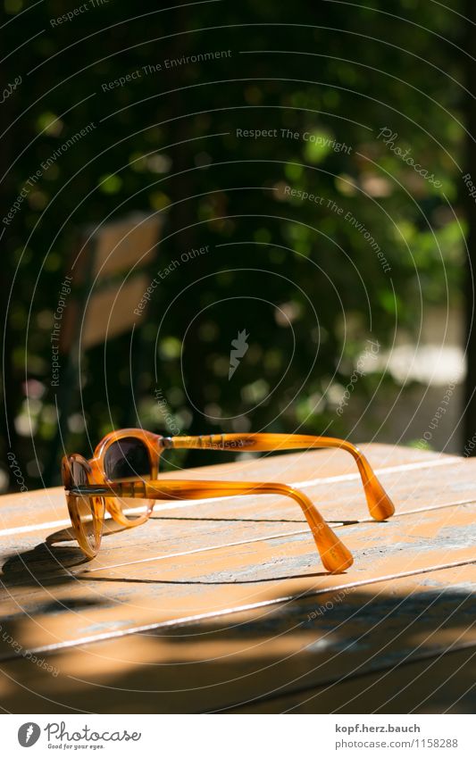 sonnende Brille Lifestyle Ausflug Sommer Sonne Sonnenbrille beobachten Erholung Lebensfreude ästhetisch Zufriedenheit Einsamkeit elegant entdecken